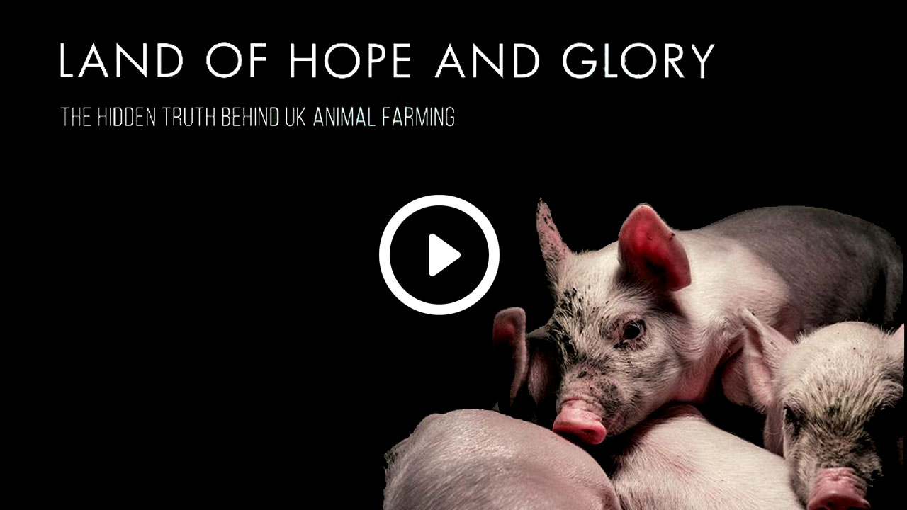 Land of Hope and Glory Documentary