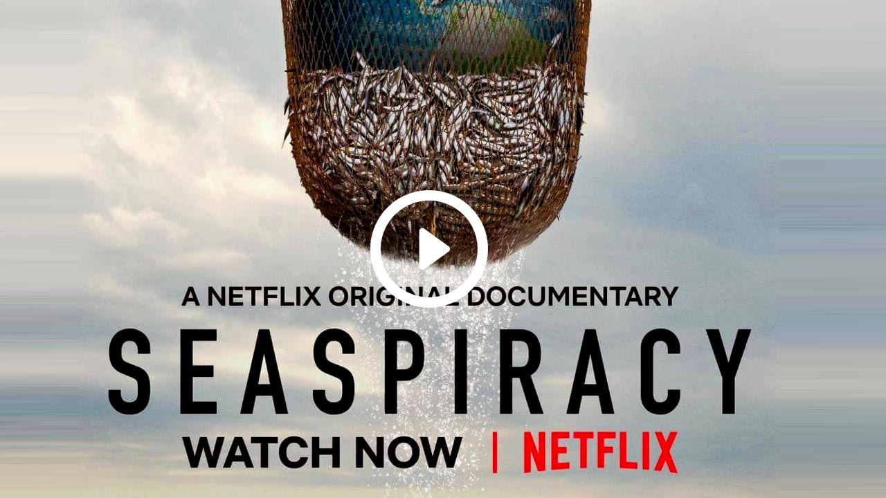 Seaspiracy Documentary